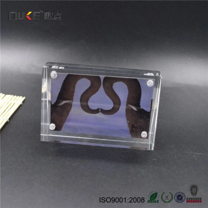 Desktop Double Side Clear Acrylic Magnetic Photo Frames